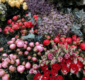 꽃집 창업에 대하여 알아보기