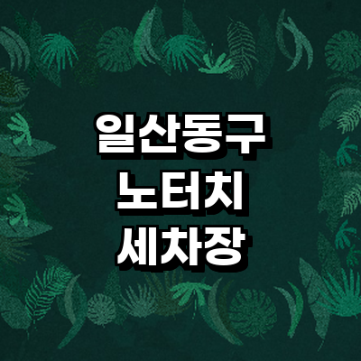 고양 일산동구 노터치 세차