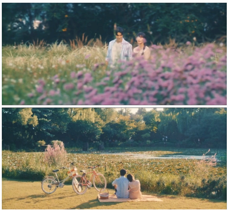 [서울 근교 여행지] 경기도 파주❘벽초지수목원❘드라마 촬영지(빈센조, 구미호뎐, 고백부부, 나의 해방일지)