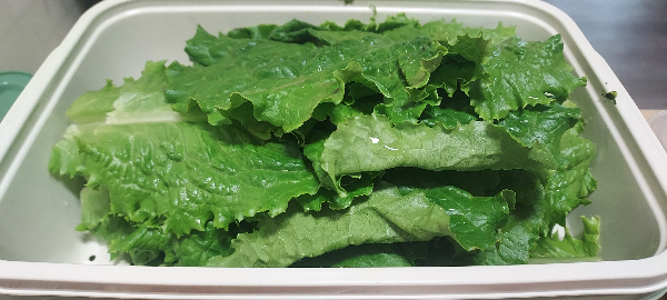 상추