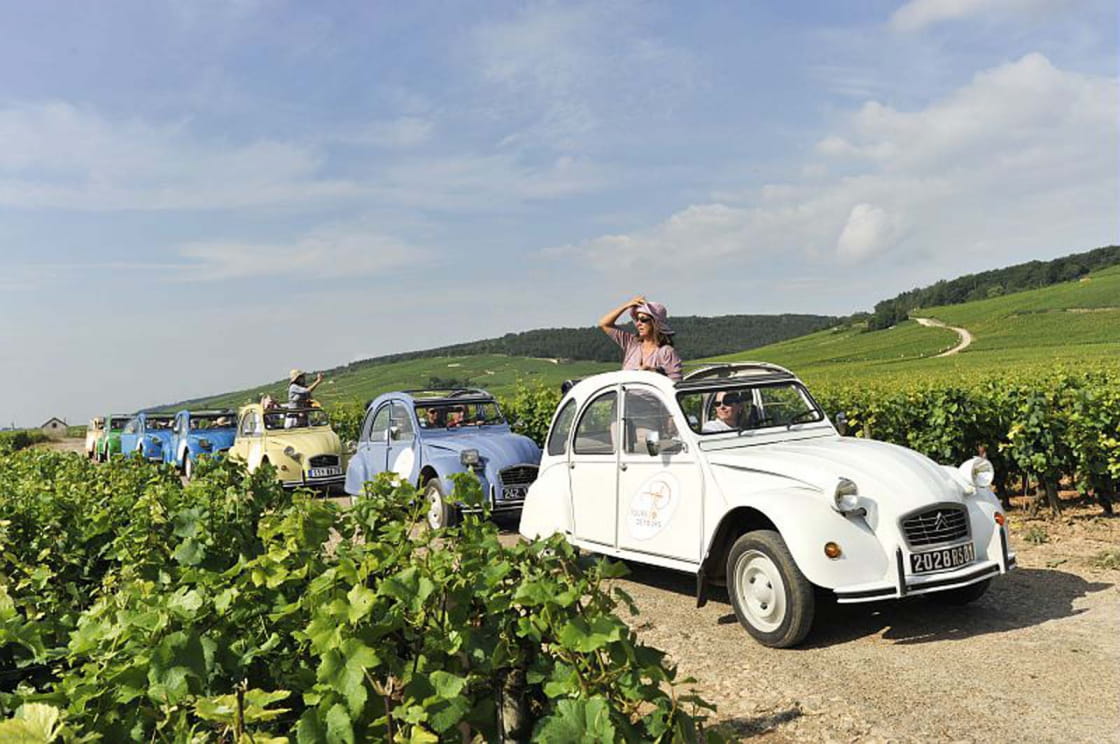 부르고뉴 뱅 여행