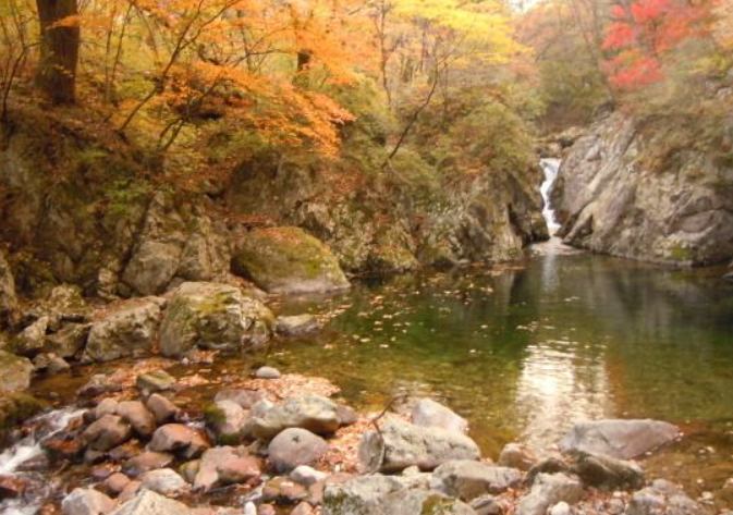 2025 충청도 단풍 명산 코스 추천 ❘ 월악산·계룡산·속리산 절정 시기