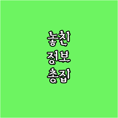 튜닝의 모든 것 안전 법규 준수 가이