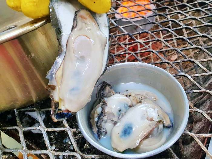 생방송오늘저녁 섬진강 하동 벚굴 구이 강굴 벚굴찜 벚굴전 벚굴죽 재첩국 재첩회무침 맛집 추천