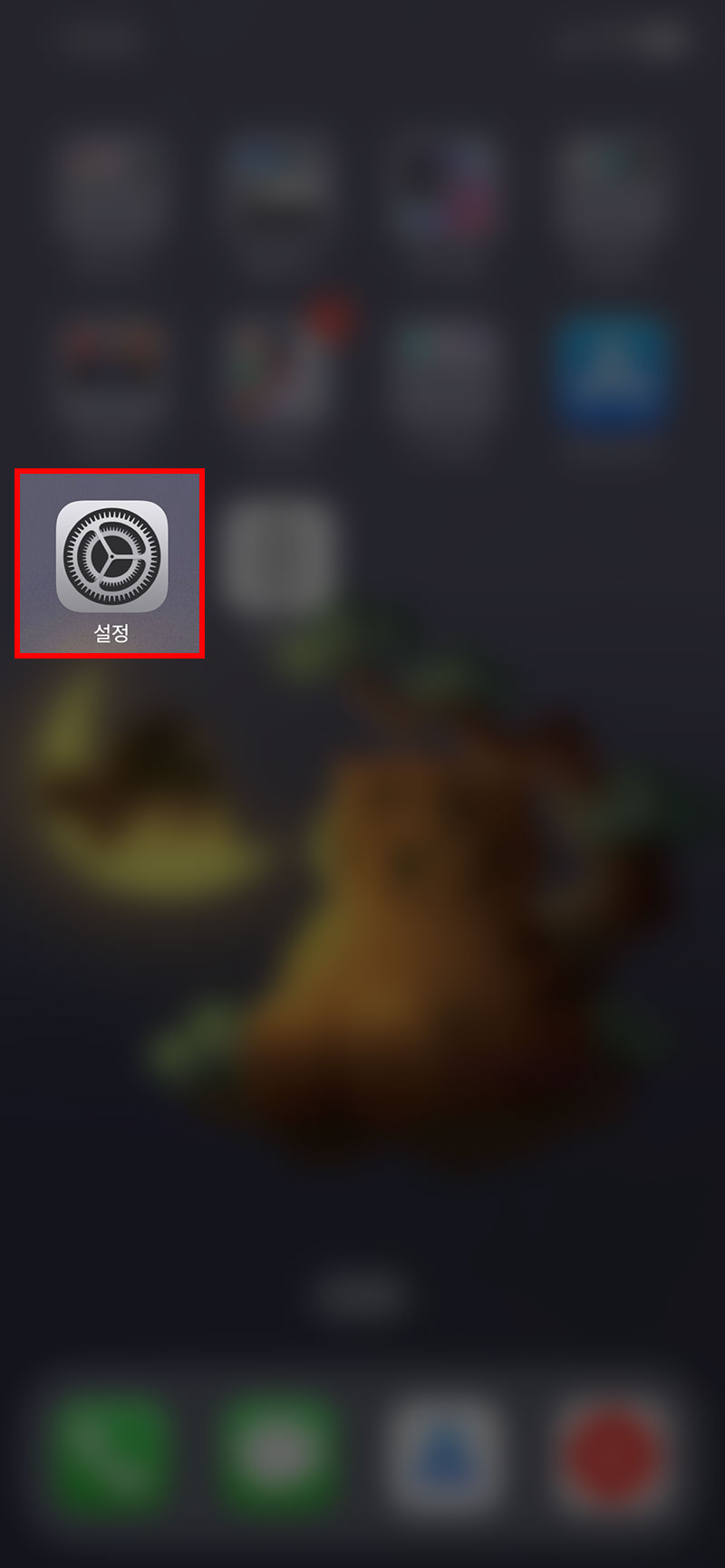 아이폰 설정 실행