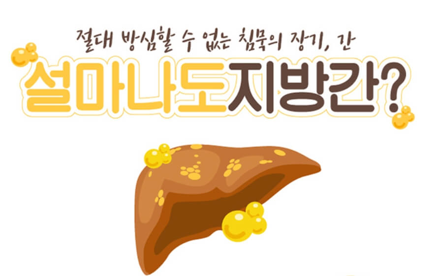 지방간 관련 포스터
