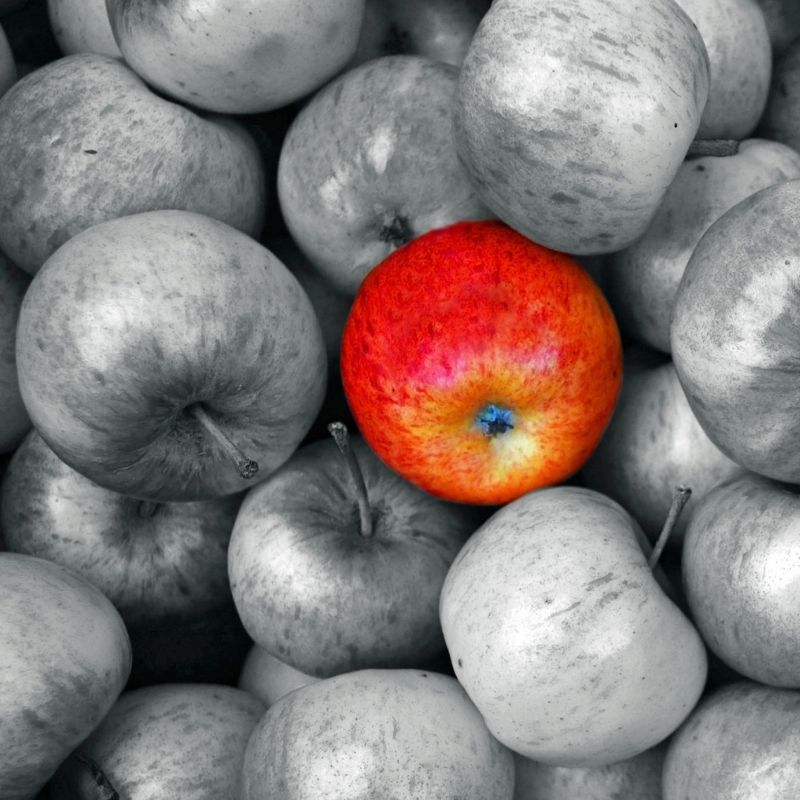 사과가 건강에 미치는 5가지 효과