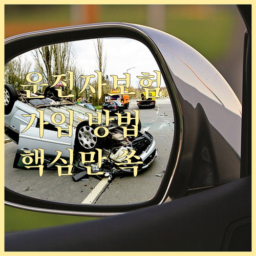 운전자보험 똑똑하게 가입하는 방법: ..