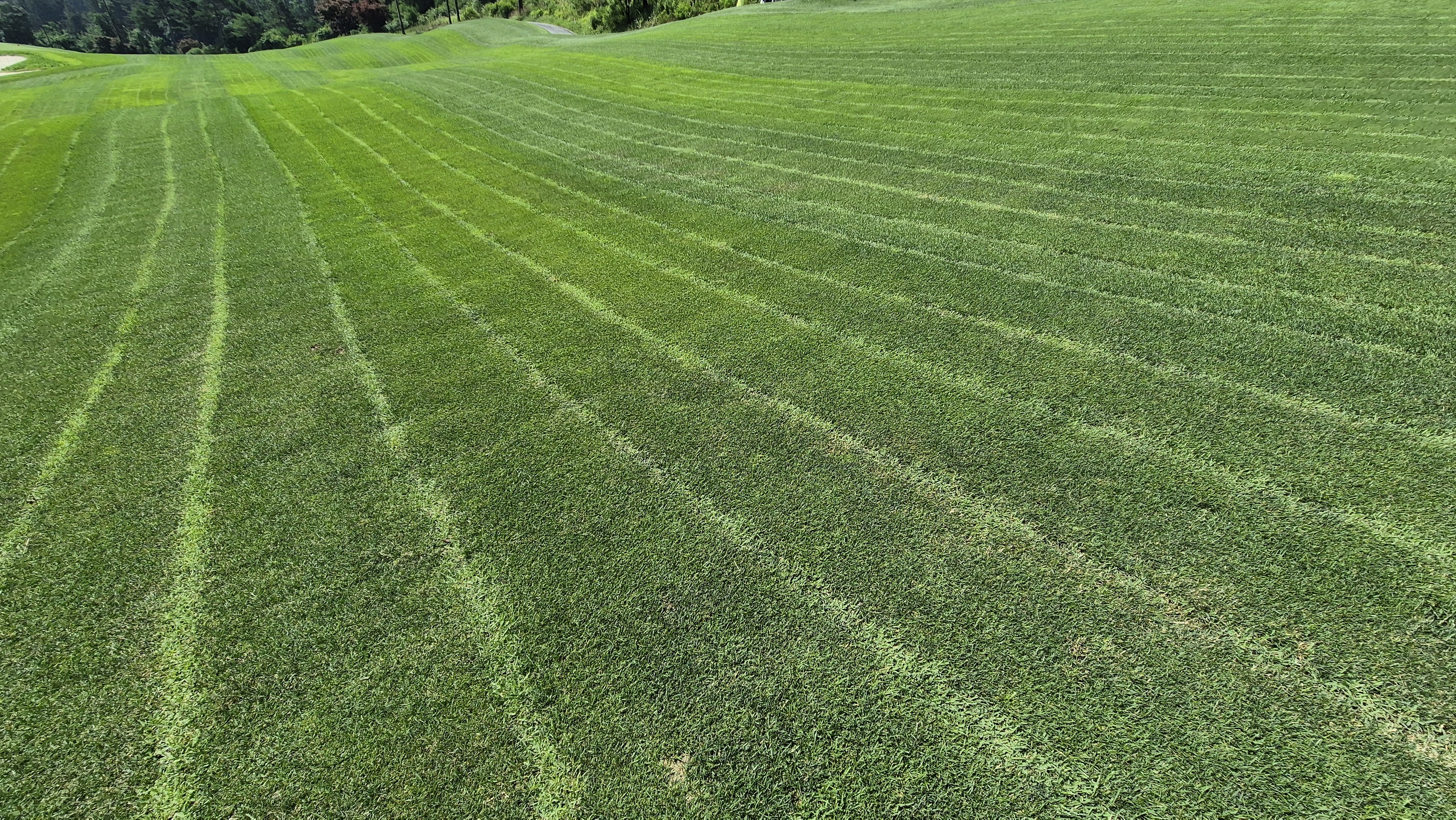 샤인데일cc 라운드 후기