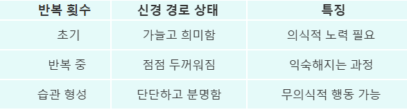 반복 횟수 신경 경로 상태 특징