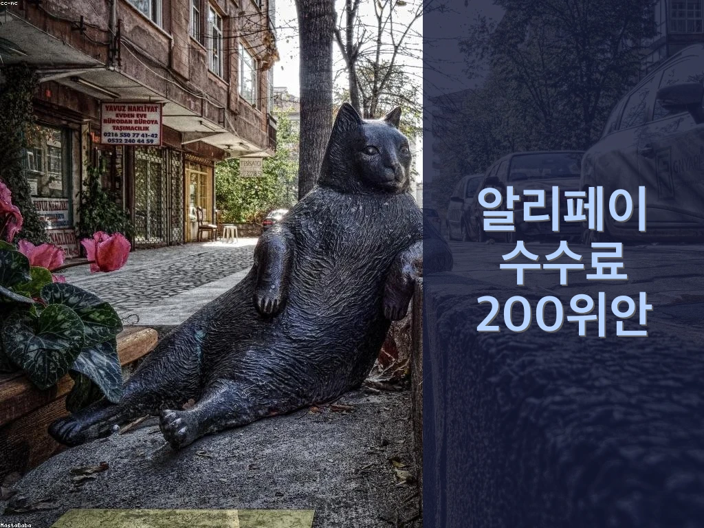 알리페이 수수료 200위안 기준 구조와 한국 카드별 절감 방법