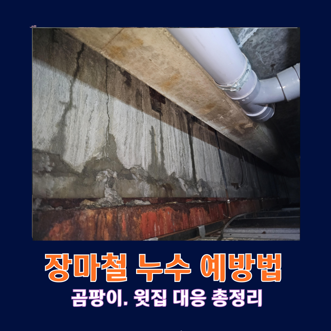 장마철 누수 예방법, 곰팡이 윗집대응 총정리