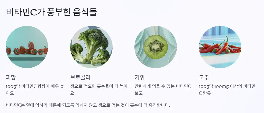 풍부한 음식들