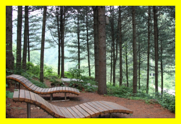 국립자연휴양림 예약&amp;#44; 국립자연휴양림 예약 성수기 추첨&amp;#44; 국립자연휴양림 추첨&amp;#44; 국립자연휴양림 성수기 추첨&amp;#44; 국립자연휴양림 성수기 예약 추첨&amp;#44; 국립자연휴양림 예약 신청방법&amp;#44; 국립자연휴양림 예약통합시스템&amp;#44;신시도 국립자연휴양림&amp;#44; 국립자연휴양림 위약금&amp;#44; 국립 자연휴양림 예약&amp;#44; 국립 자연휴양림 성수기 예약&amp;#44; 국립 자연휴양림 성수기 추첨&amp;#44; 국립 자연휴양림 성수기 추첨 예약&amp;#44; 국립 자연휴양림 예약 성수기 추첨&amp;#44; 국립 자연휴양림 예약 신청방법&amp;#44; 국립 자연휴양림 성수기 추첨 신청방법&amp;#44; 국립 자연휴양림 취소 수수료&amp;#44; 국립 자연휴양림 예약 취소 수수료&amp;#44; 국립 자연휴양림 장애인 할인&amp;#44; 국립자연휴양림 성수기 예약일정&amp;#44; 국립 자연휴양림 성수기 예약일정&amp;#44; 신시도 국립 자연휴양림&amp;#44; 국립 자연휴양림 비용&amp;#44; 국립자연휴양림 신청방법&amp;#44; 국립자연휴양림 예약취소방법&amp;#44; 국립자연휴양림 이용요금&amp;#44; 국립 자연휴양림 주차장&amp;#44; 국립자연휴양림 요금정보&amp;#44; 국립 자연휴양림 이용시설&amp;#44; 국립 자연휴양림 이용시설&amp;#44; 국립 자연휴양림 요금정보