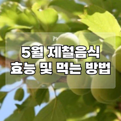 5월-제철음식-효능-및-먹는-방법