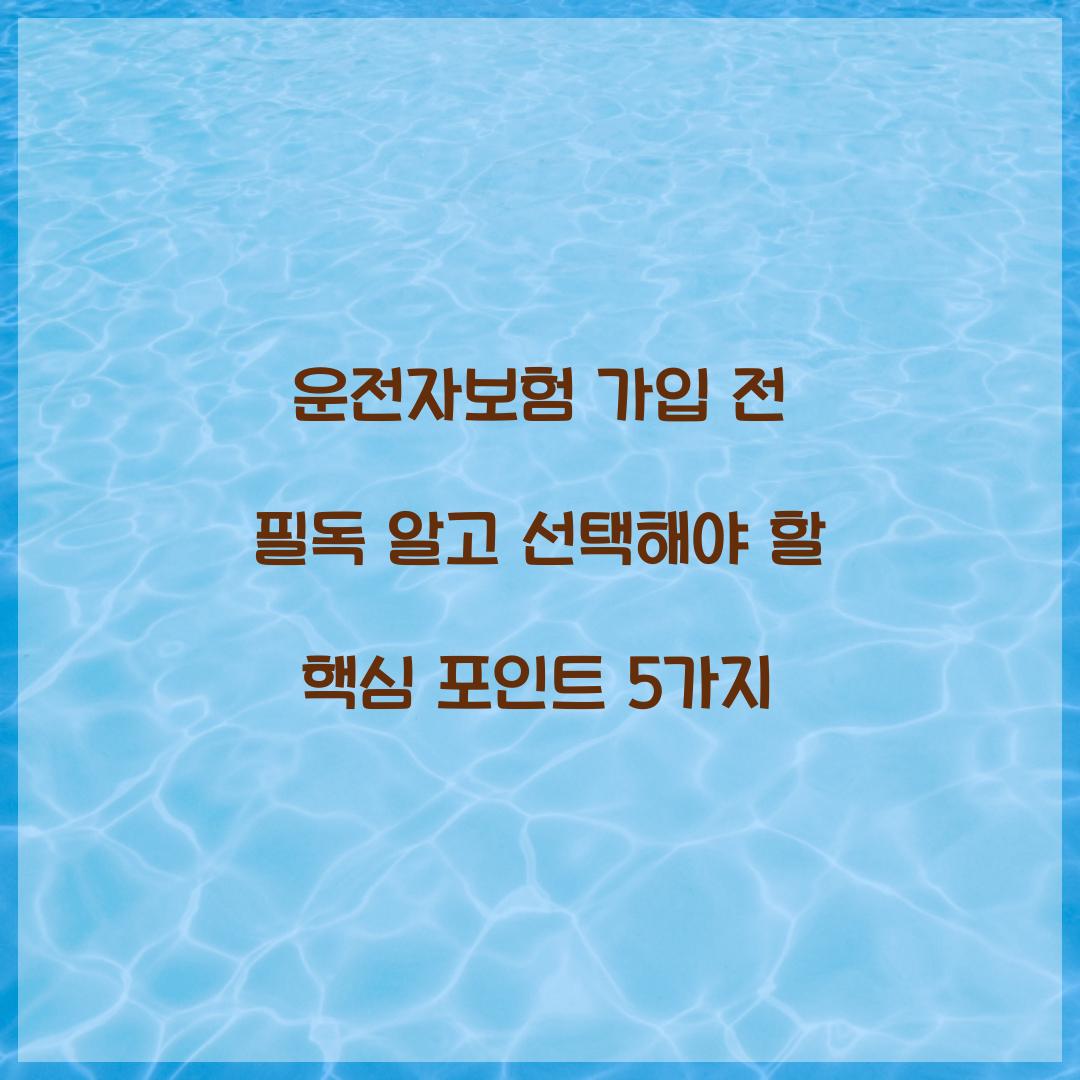 운전자보험 가입 전 필독