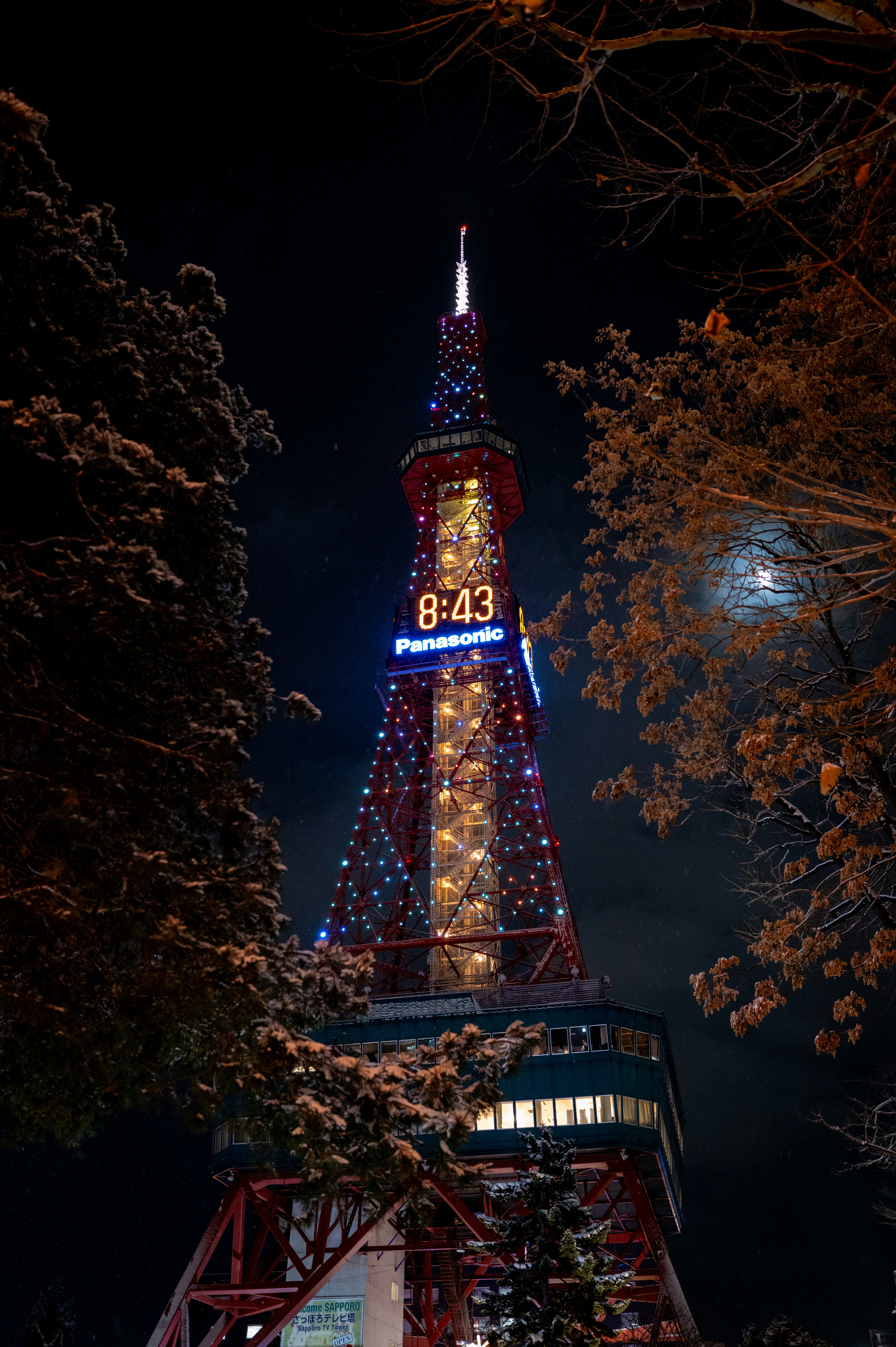 도쿄 타워 야경 사진