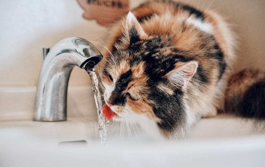 Hydration.