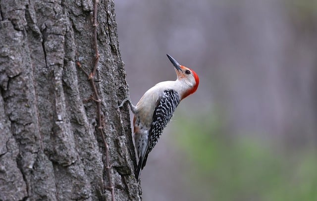 귀산촌인 창업자금 지원사업