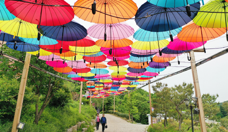 포천 허브아일랜드