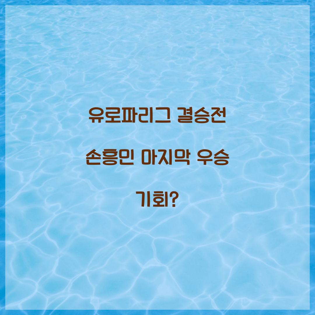유로파리그 결승전