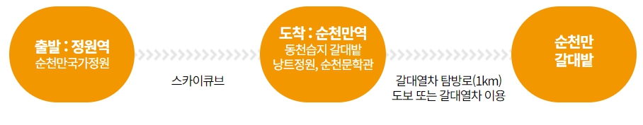 순천만 갈대축제