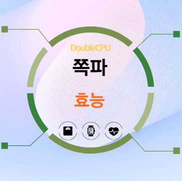 쪽파 효능 탐구