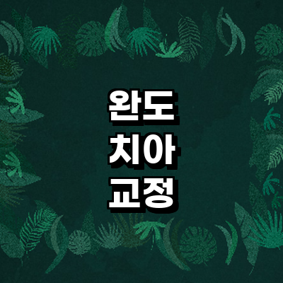 완도군 교정 치과