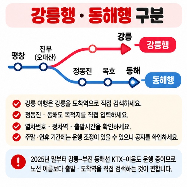강릉행과 정동진 묵호 동해 방향을 구분하고 열차번호 정차역 운행공지를 확인하는 이용 주의사항 카드