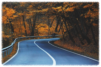 화담숲 가을 단풍 축제 기간 예약 입장료 방법