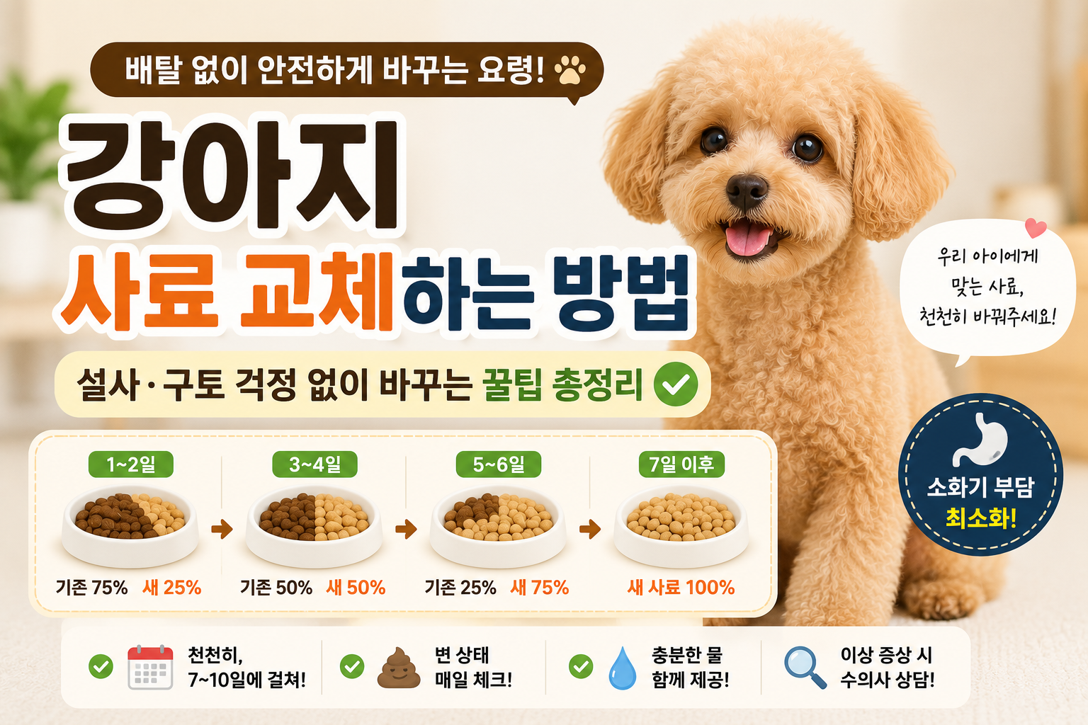 강아지 사료 교체하는 방법|배탈 없이 안전하게 바꾸는 요령 총정리