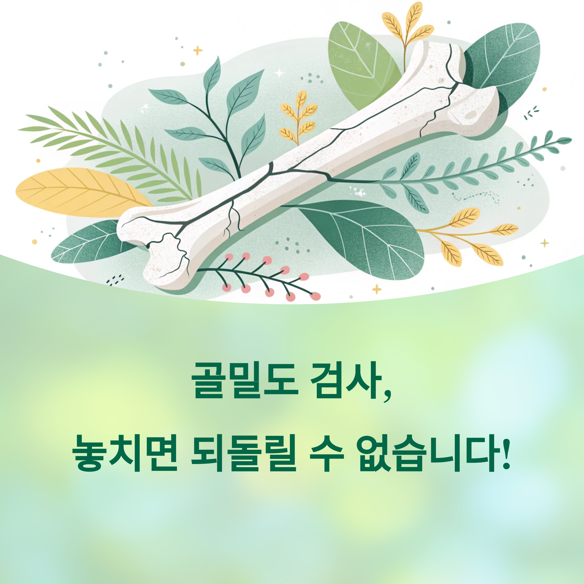 골밀도 검사, 시기 놓치면 되돌릴 수 없는 이유에 대한 이미지