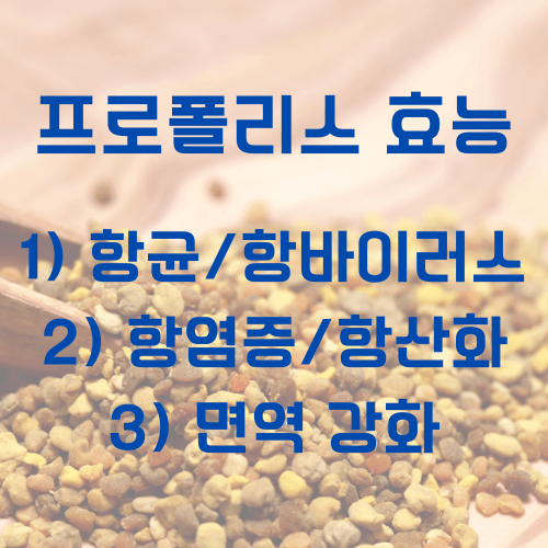 프로폴리스_효능
