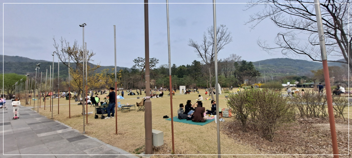 피크닉