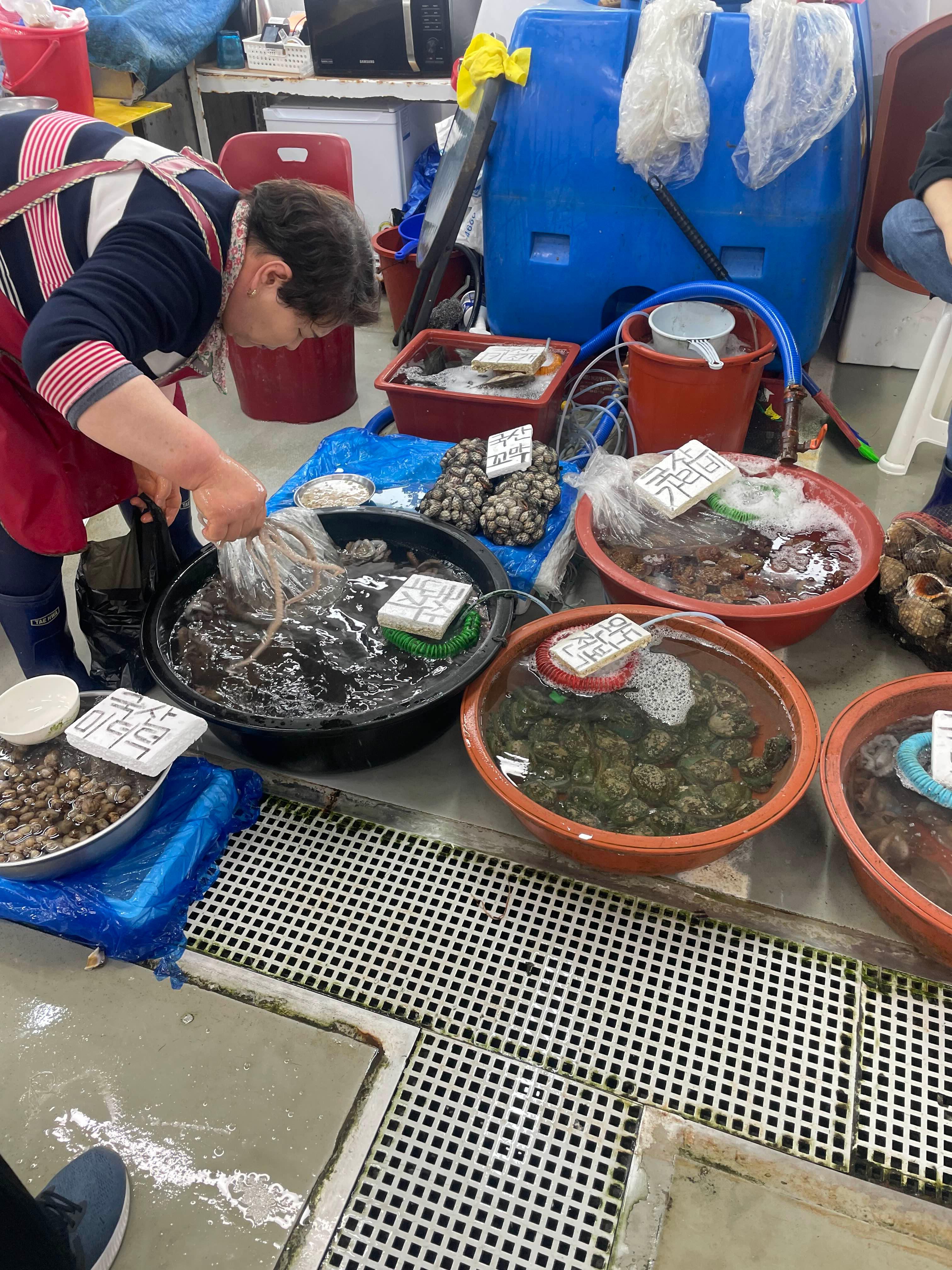 군산여행 필수 코스 군산수산물종합센터