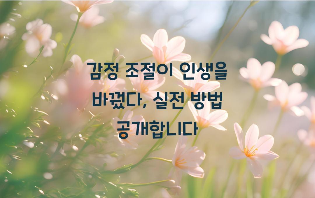 감정 조절이 인생을 바꿨다, 실전 방법 공유