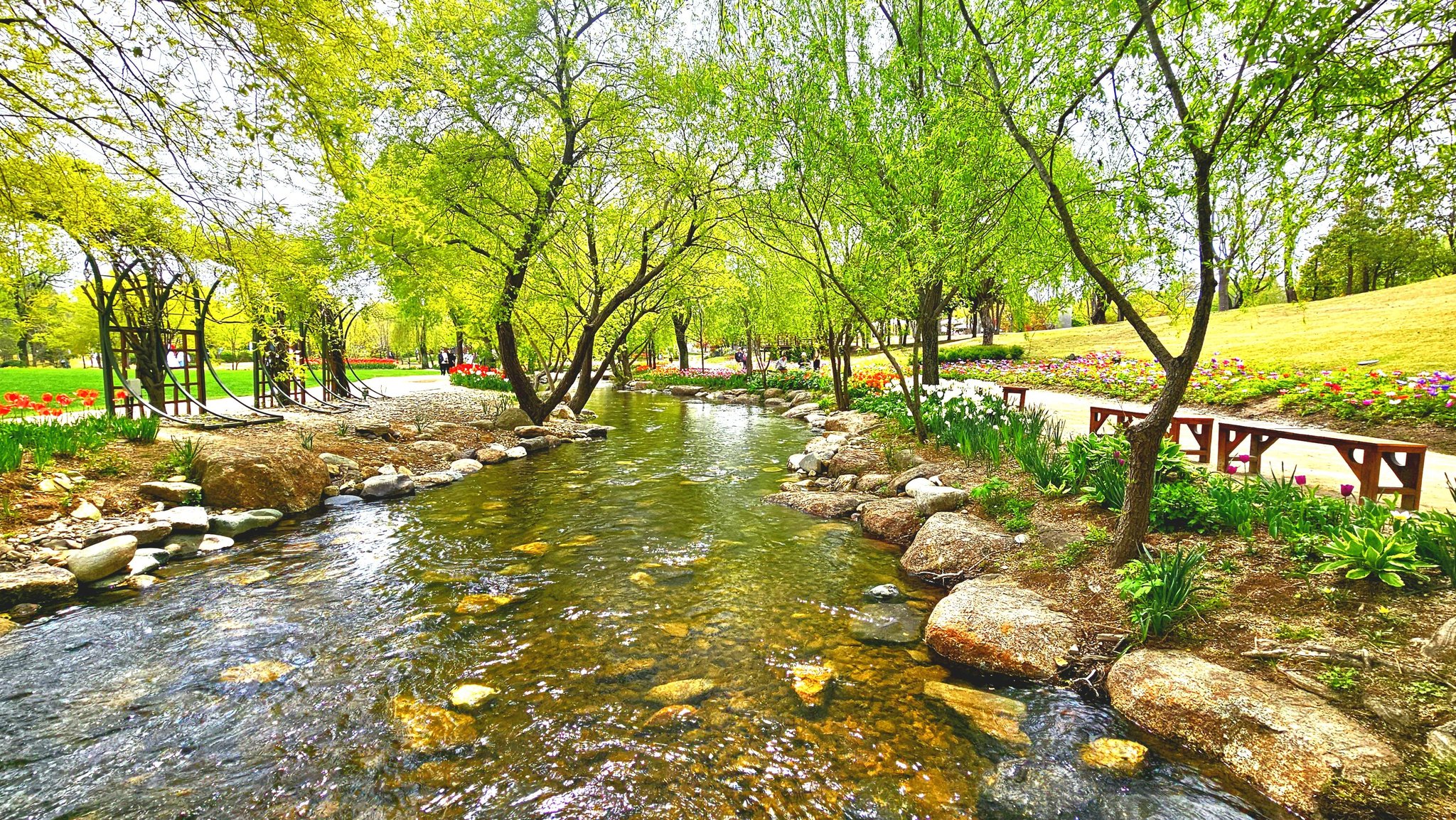 순천만국가정원 봄 28만 평 봄꽃 명소