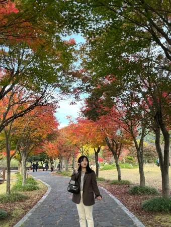 단풍구경 전국 명산 50대 이상 안전한 등산로 추천_18