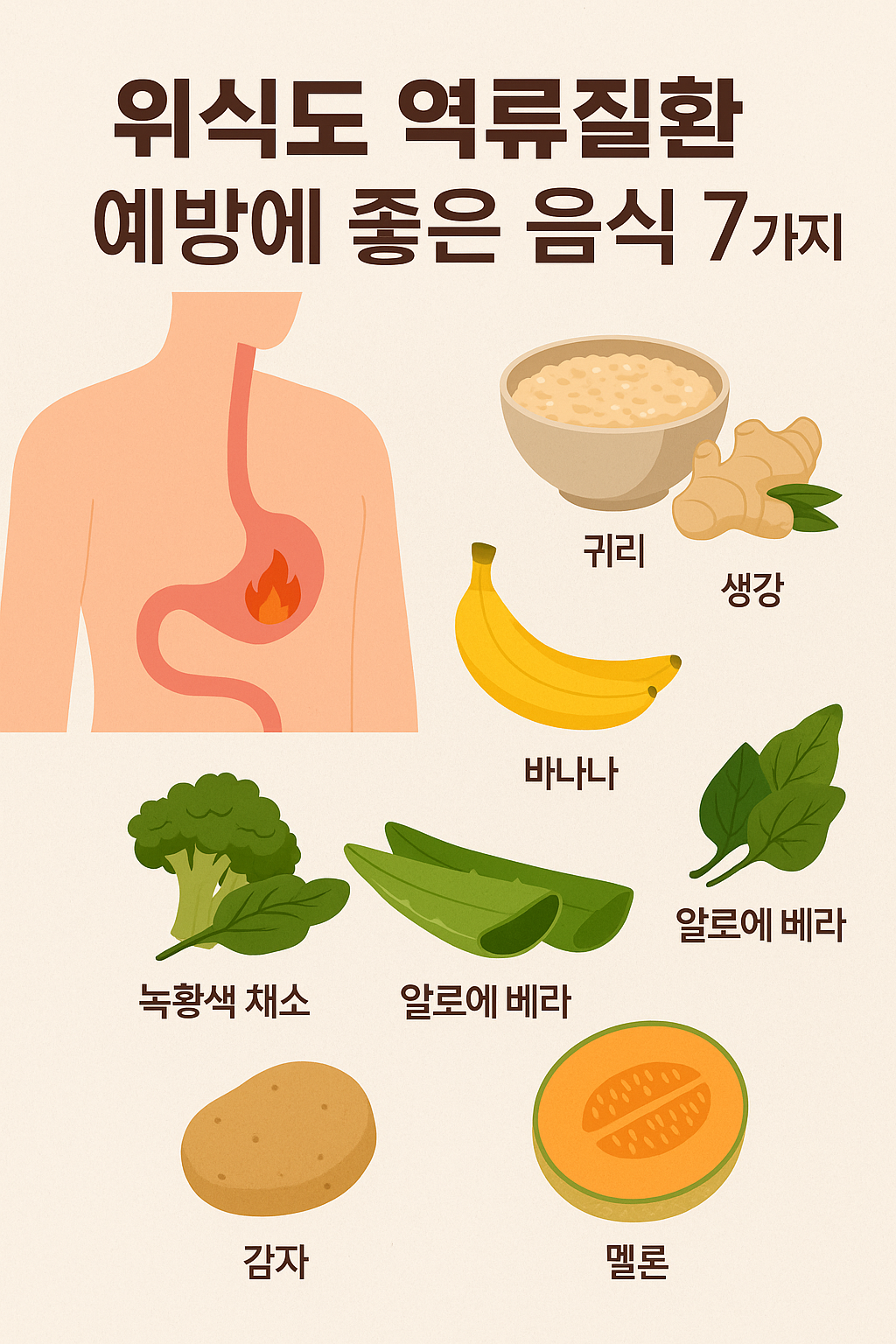 위식도 역류질환에 좋은 음식