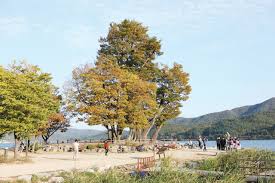 양평 가볼만한곳 베스트: 두물머리