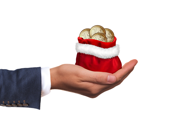 고령자 계속고용장려금