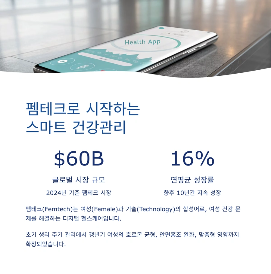 펨테크 시장 성장률과 글로벌 전망 인포그래픽