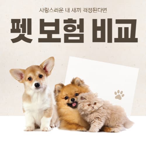 강아지 고양이 등 반려동물 펫 보험 비교 및 추천