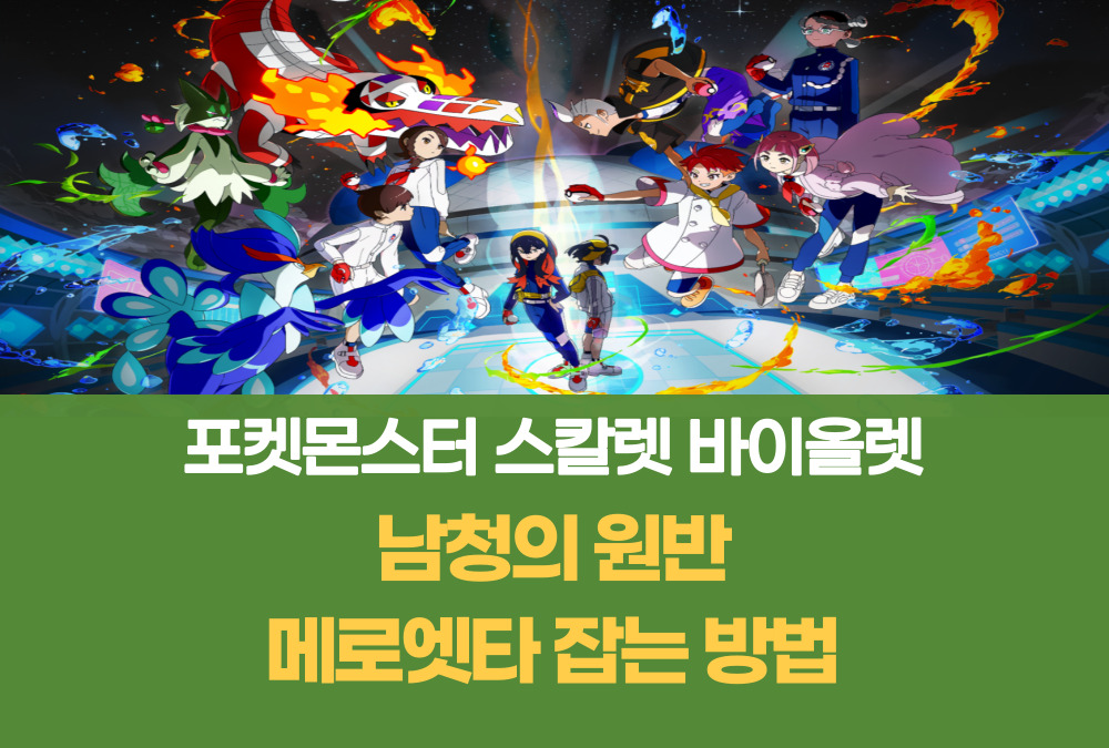 포켓몬스터 스칼렛 바이올렛 남청의 원반