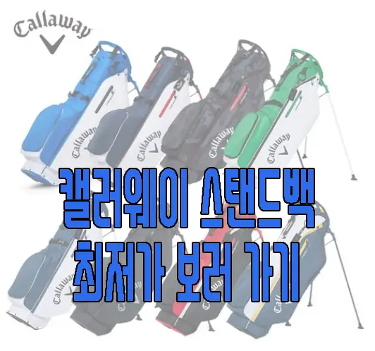 캘러웨이 스탠드백 보러 가기 사진 링크