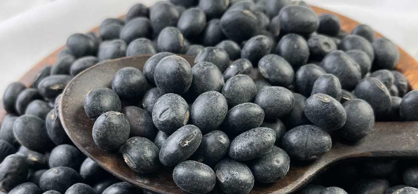 서리태 심는시기1