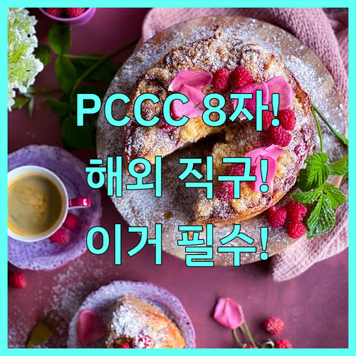 주민번호 대신 PCCC 11번가 해외..