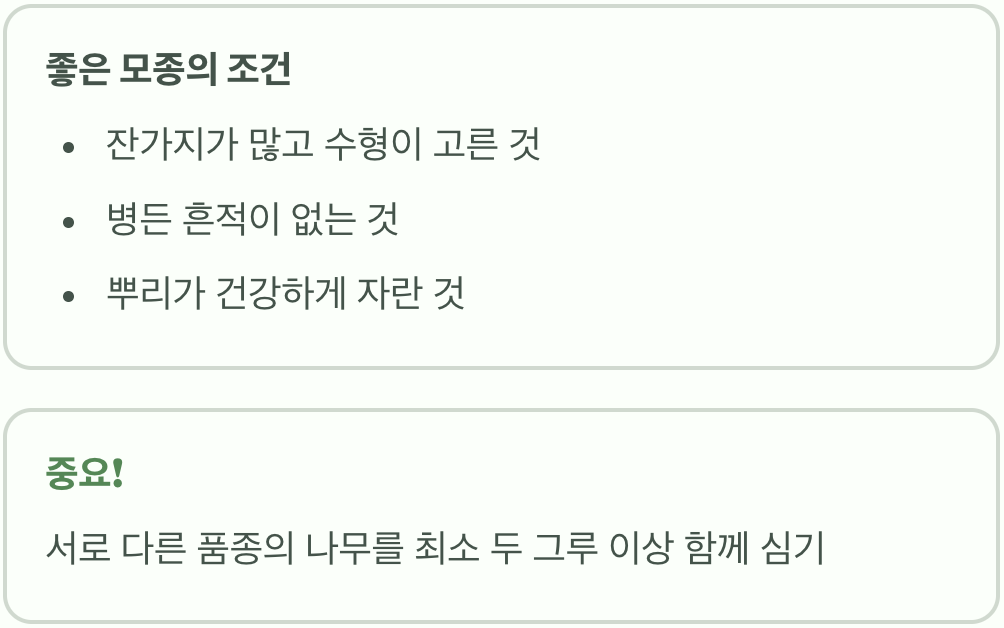 첫 단추가 중요해요, 튼튼한 모종 고르기