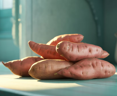 고구마 보관하는 법
