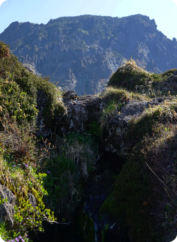 백록샘전경사진